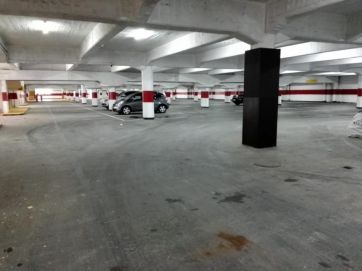 El Concejo vs el Ejecutivo