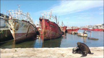 Susbielles fue oficializado en el Consorcio Portuario de Bahía Blanca, ¿para cuándo los cambios en Mar del Plata?