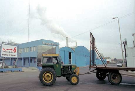 Otra denuncia por los olores de las harineras del Puerto