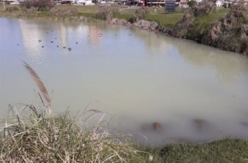 El Concejo Deliberante evaluará elevar un reclamo a la Administración de Punta Mogotes por nueva contaminación en la laguna