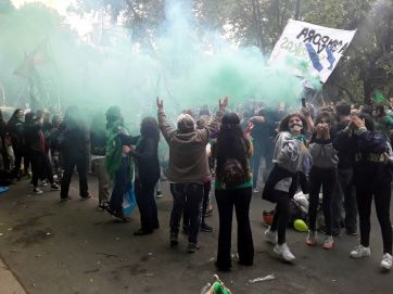 Los festejos en Mar del Plata por la media sanción en Diputados