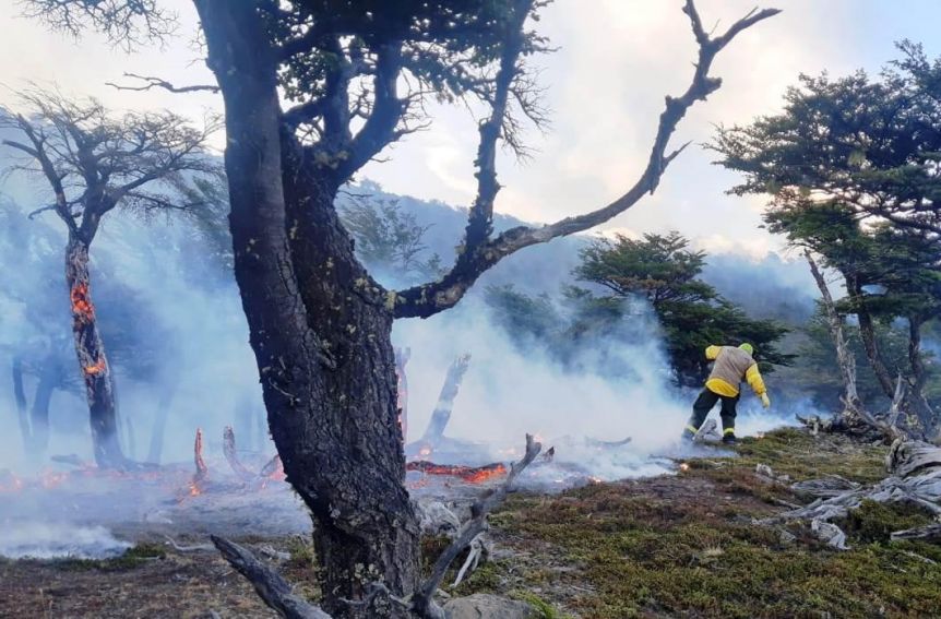 Trabajan para contener importante incendio en el Parque Nacional Los Glaciares