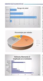 Las muertes en siniestros viales aumentaron un 64,5% en Mar del Plata con respecto al 2020
