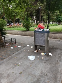 Arroyo tocó fondo: le pidió ayuda a las ONGs para limpiar la ciudad
