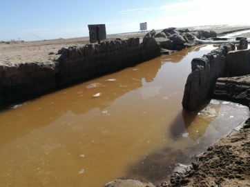 Puerto Mar del Plata: desidia y contaminación