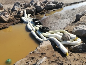 Puerto Mar del Plata: desidia y contaminación