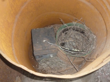 En el marco del alerta epidemiológico por el hantavirus, preocupan los basurales en el Puerto