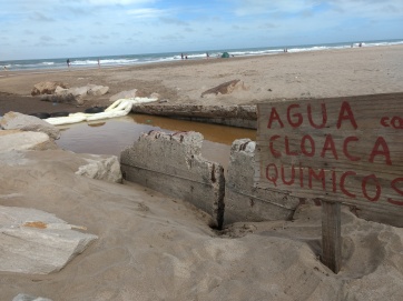Contaminación en el Puerto: ¿Y ahora?