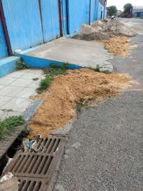 Contaminación en el Puerto: ¿Y ahora?