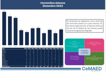 En el 2023 en Gral Pueyrredon hubo 42 homicidios y 972 robos de autos