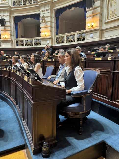 Desde el bloque radical dialoguista piden un tratamiento rápido del Presupuesto