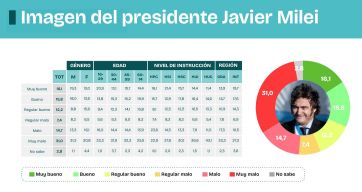 Caen la imagen de Milei y la confianza en el gobierno