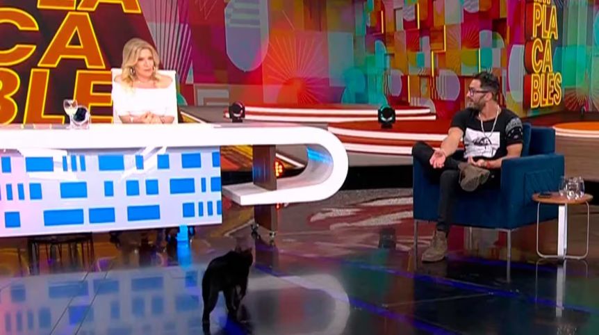 El insólito motivo por el que Susana Roccasalvo se paralizó en vivo