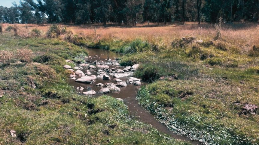 La Justicia aguarda definiciones técnicas para determinar responsabilidades por contaminación en Las Prunas