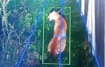 Cuneo Libarona se saca el traje de ministro y el Gobierno define a su sucesor