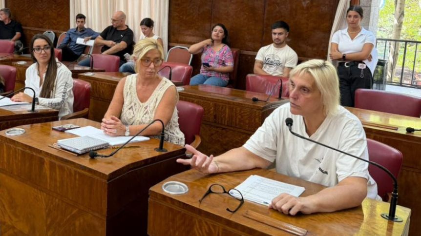 Narcontroles en Mar del Plata: el proyecto avanzó en comisión con un voto dividido en el bloque radical