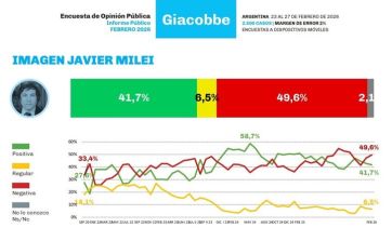 En picada: Javier Milei, cada vez menos profeta en su propia tierra