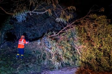 Fuertes vientos, casi 100 reclamos y sin evacuados: el impacto del temporal en Mar del Plata
