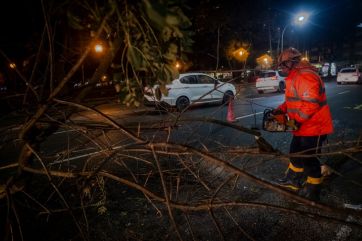 Fuertes vientos, casi 100 reclamos y sin evacuados: el impacto del temporal en Mar del Plata