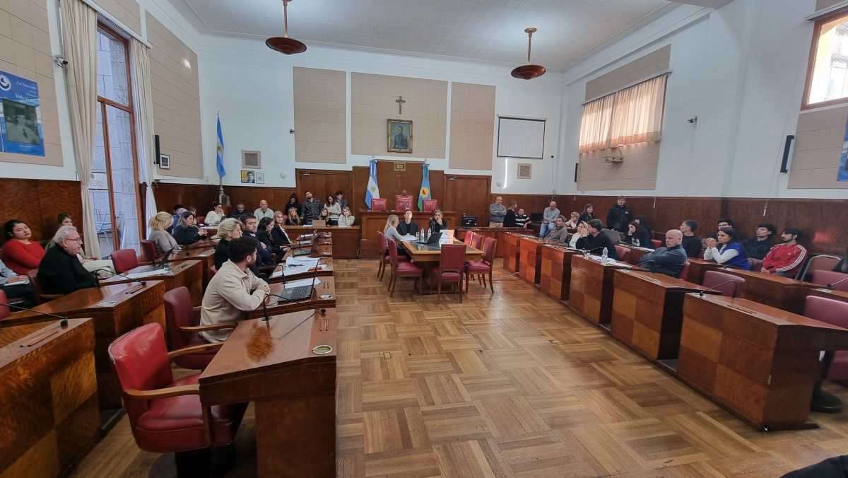 Aumento de colectivos: el proyecto para que Neme fije la suba va a sesión el jueves