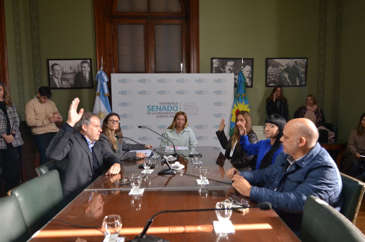 Comisiones del Senado: siguen las conformaciones con la interna al rojo vivo