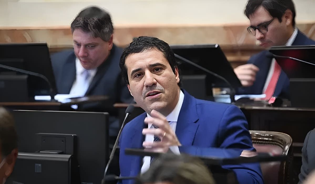 Abad sobre Punta Mogotes: “La cautelar es la consecuencia de una mala decisión política de Kicillof”