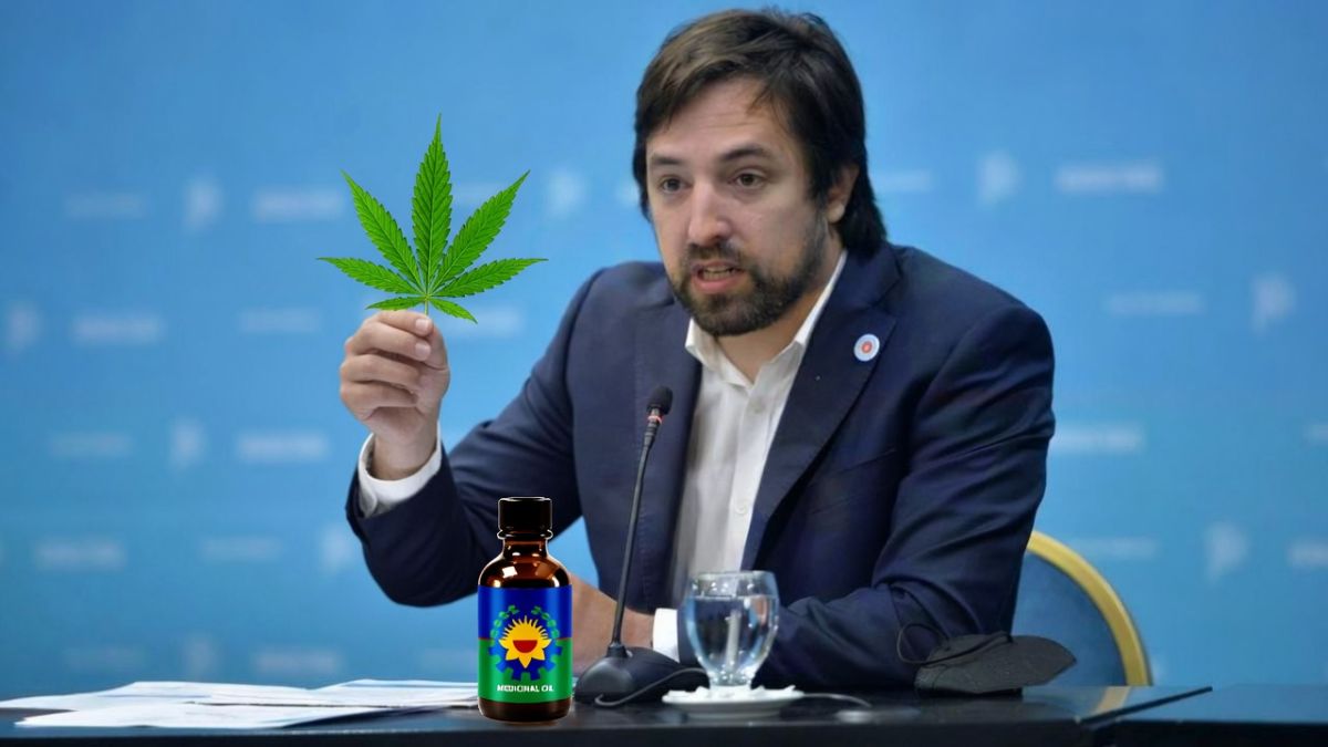 PBA institucionaliza el cannabis medicinal y crea un consejo con poder de influencia