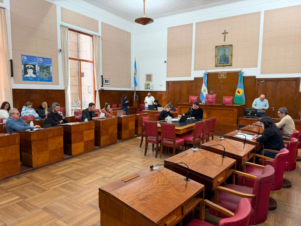La reforma de la Ordenanza 14.000 sumó nuevos pedidos de informes y seguirá en debate