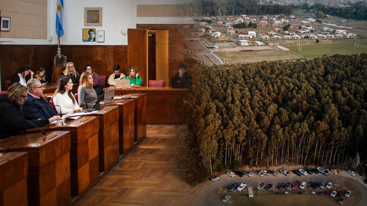 Plaza Rumencó: el oficialismo recurrió a un dibujo normativo para destrabar el polémico proyecto