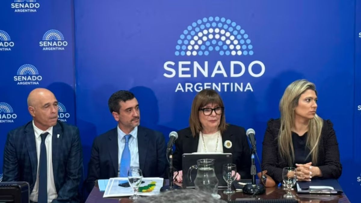 Ley de Tierras: el oficialismo busca destrabar la ley y acordó un tope del 25%