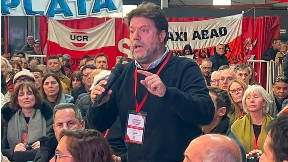 Garciarena cargó contra el sector de Miguel Fernández tras la Convención de la UCR