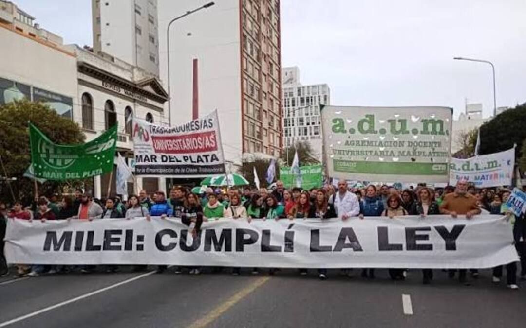 Docentes y nodocentes de la UNMDP se suman al paro nacional