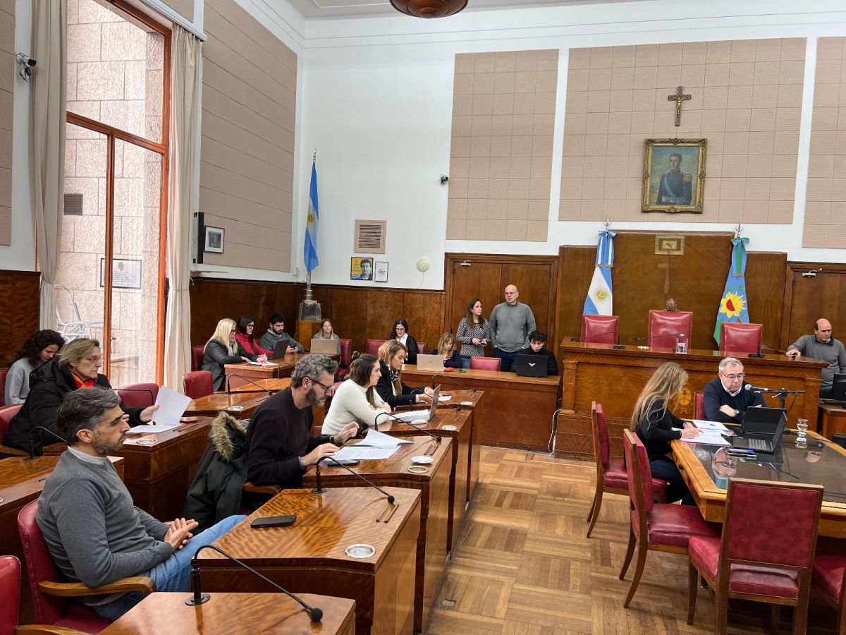 Baragiola coincidió con la oposición y cuestionó al PRO por dilatar las exenciones de la TSU