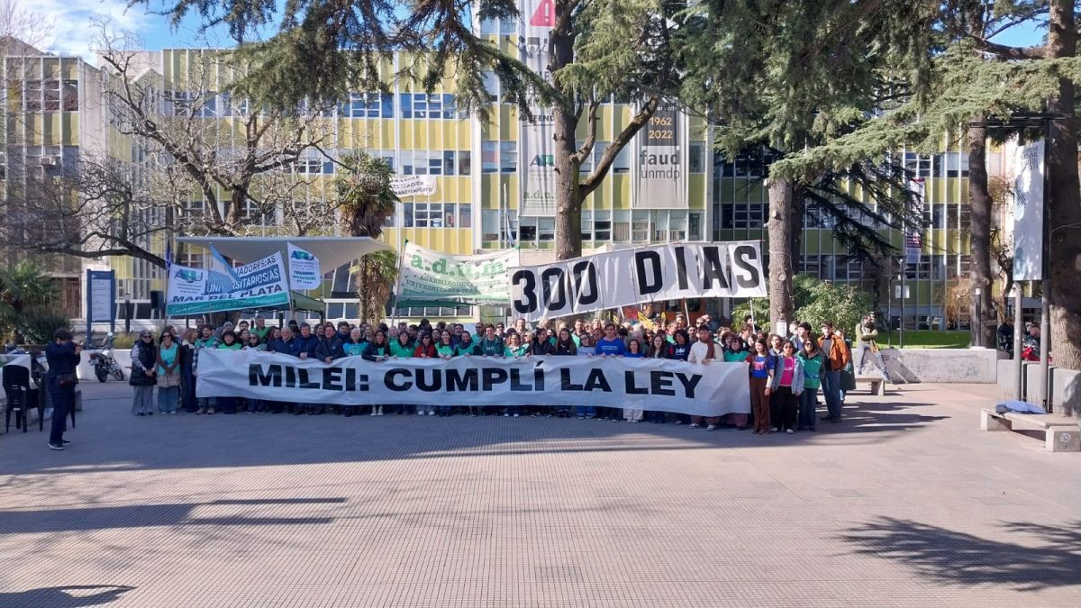 Tras 300 días de incumplimiento de la Ley de Financiamiento Universitario, la UNMDP realizó un banderazo