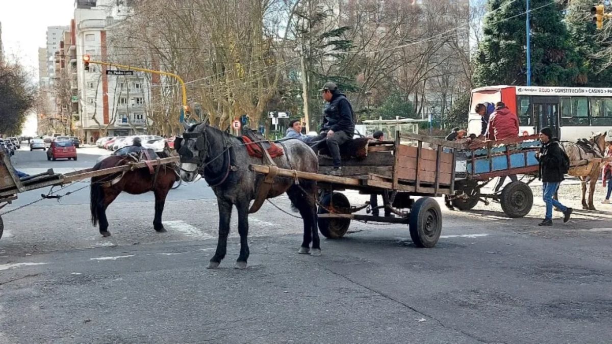 Después de una década, el Concejo volvió a poner en agenda la tracción a sangre