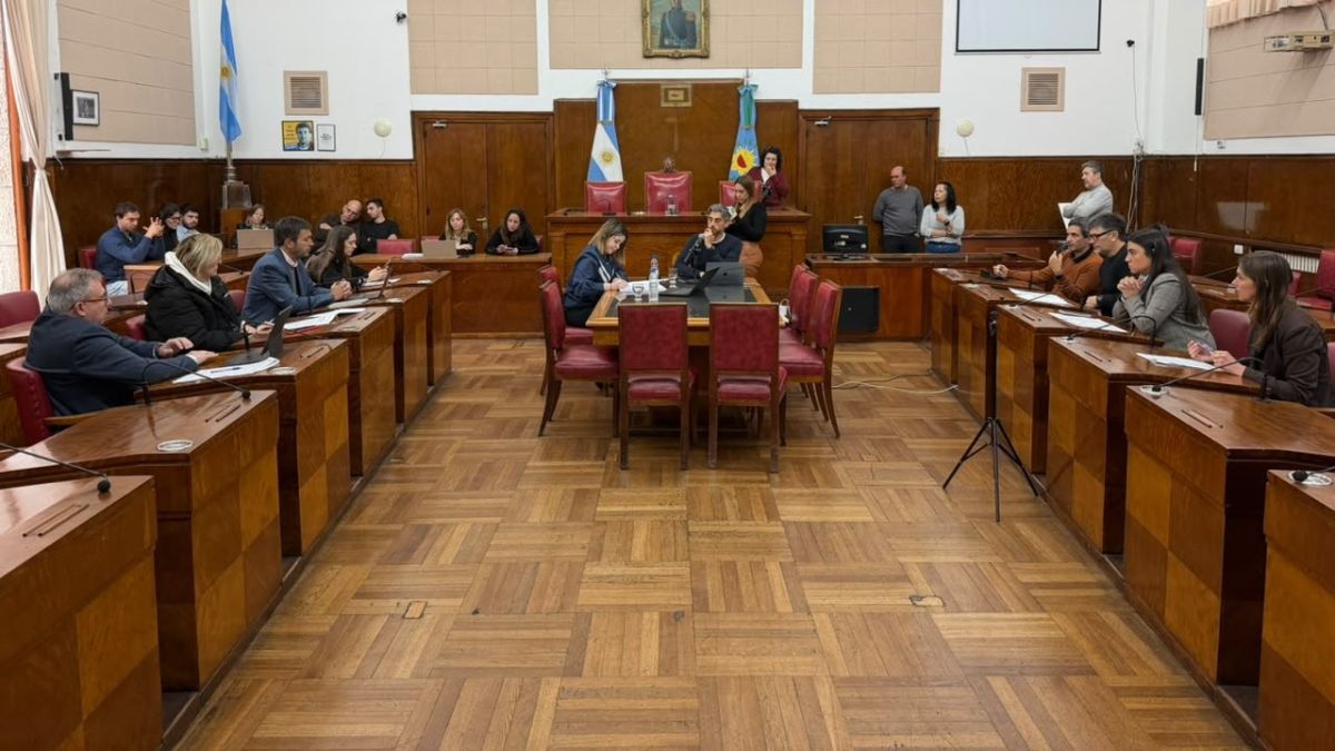 Entre la microgestión vial y la falta de respuestas: Movilidad debate parches mientras el pliego del SITU sigue paralizado