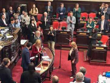 Senado: aprobaron la licencia de Montenegro y hubo cruces por FATE