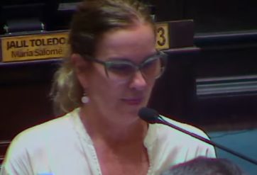Sesión en Diputados: se aprobaron la Ley Ema y la regulación de celulares en escuelas
