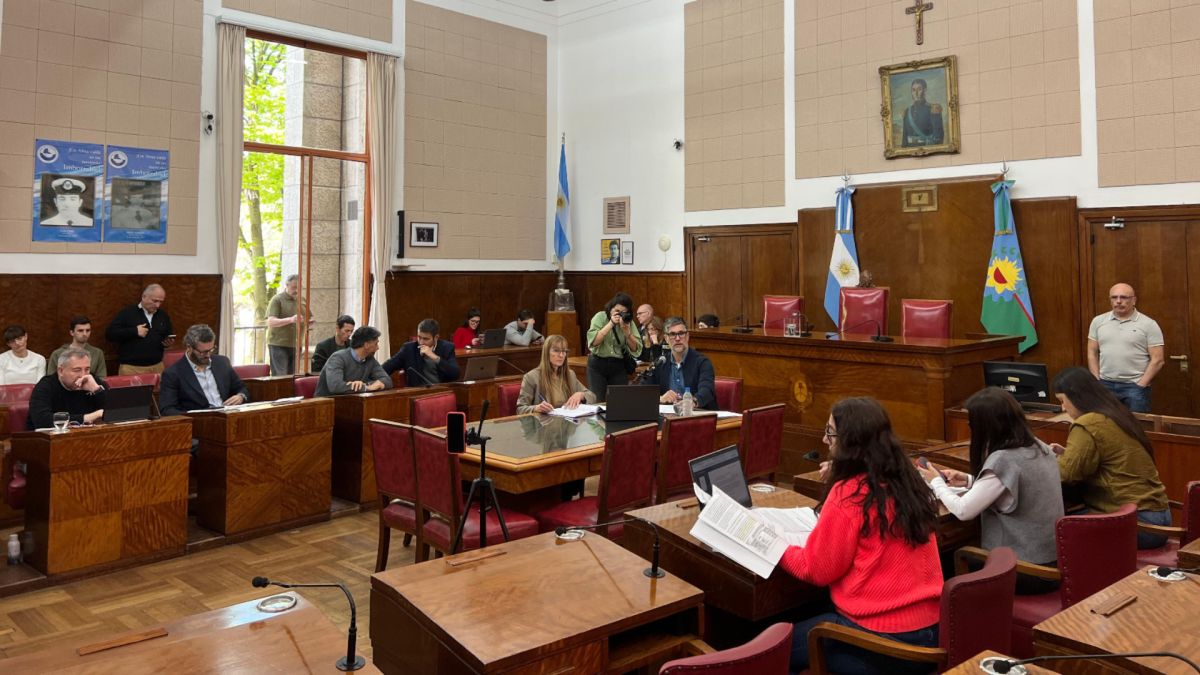 Entre risas, reproches y pedidos de informes: fuerte cruce entre el PRO y la oposición por el recorte del programa Remediar