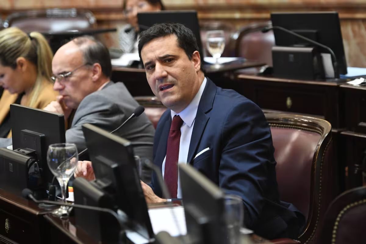 Abad en la previa del Senado: entre el equilibrio económico y la reforma de la Ley de Salud Mental